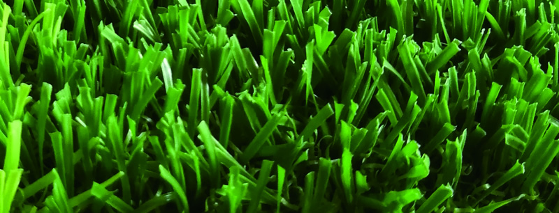 1673149365648356.jpg v1.jpg